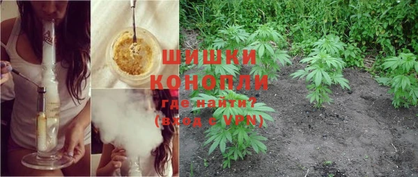 крисы Армянск