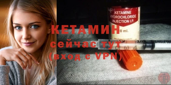 крисы Армянск