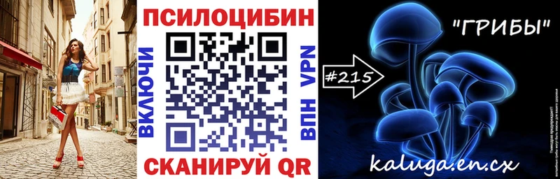Псилоцибиновые грибы Psilocybine cubensis Шацк